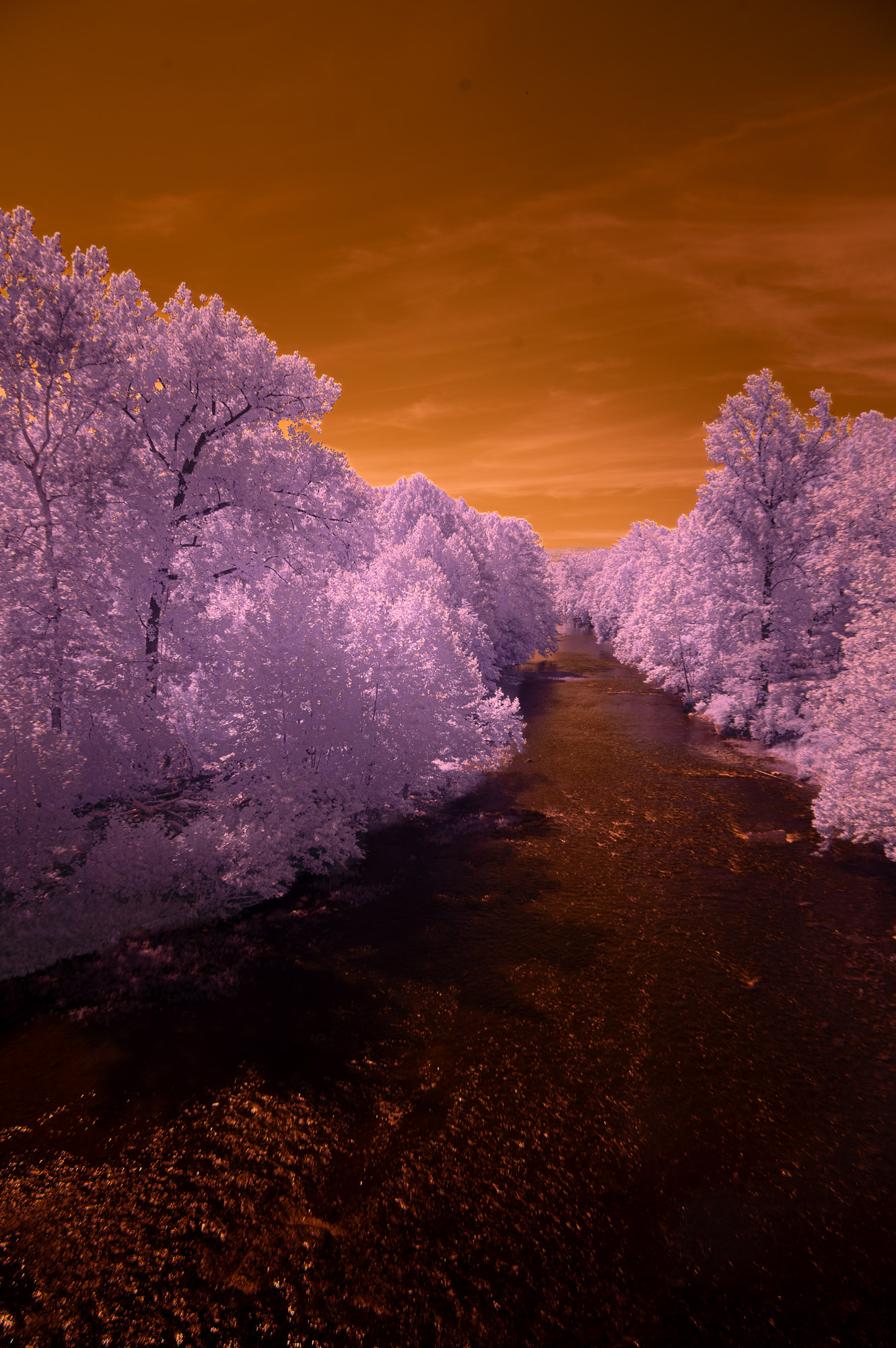 Shenandoah North Fork by Jeff Fleisher