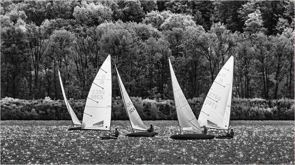 Springtime Regatta by Charles Walker