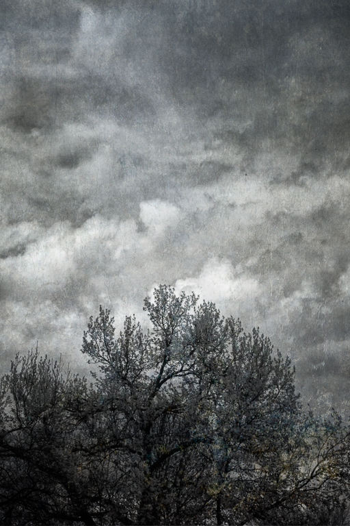 The Clouds  by Emil Davidzuk