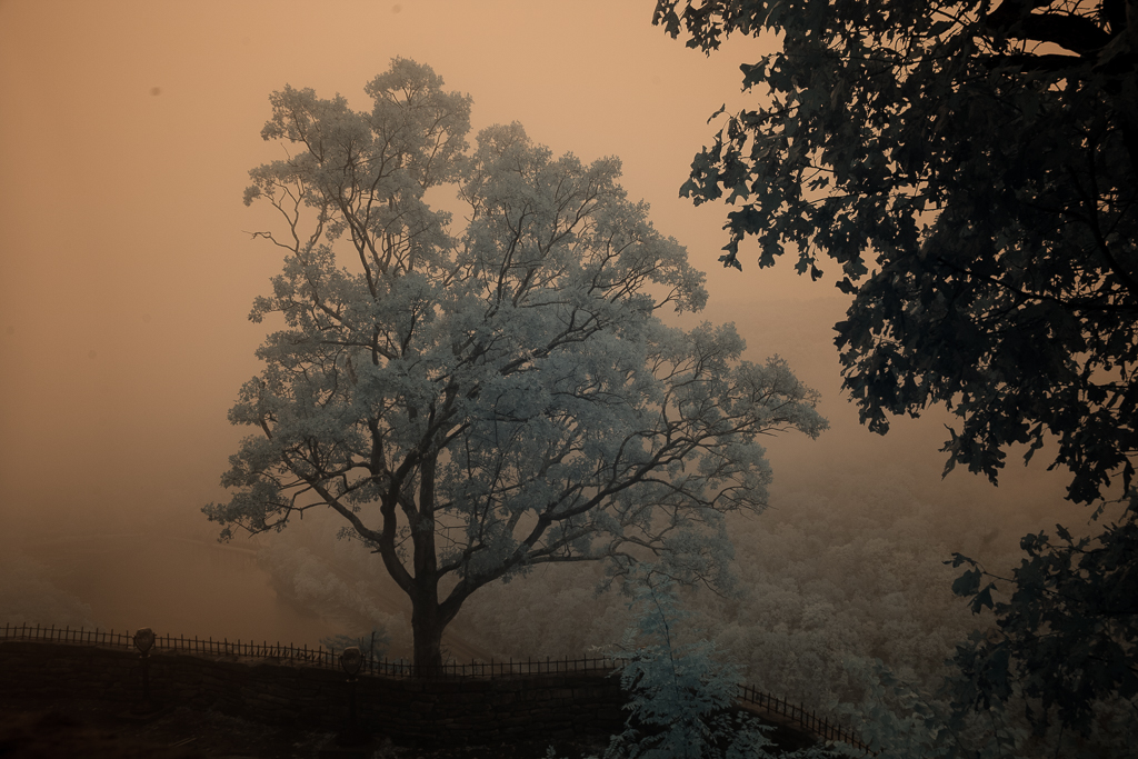 December 2025 - Emil Davidzuk