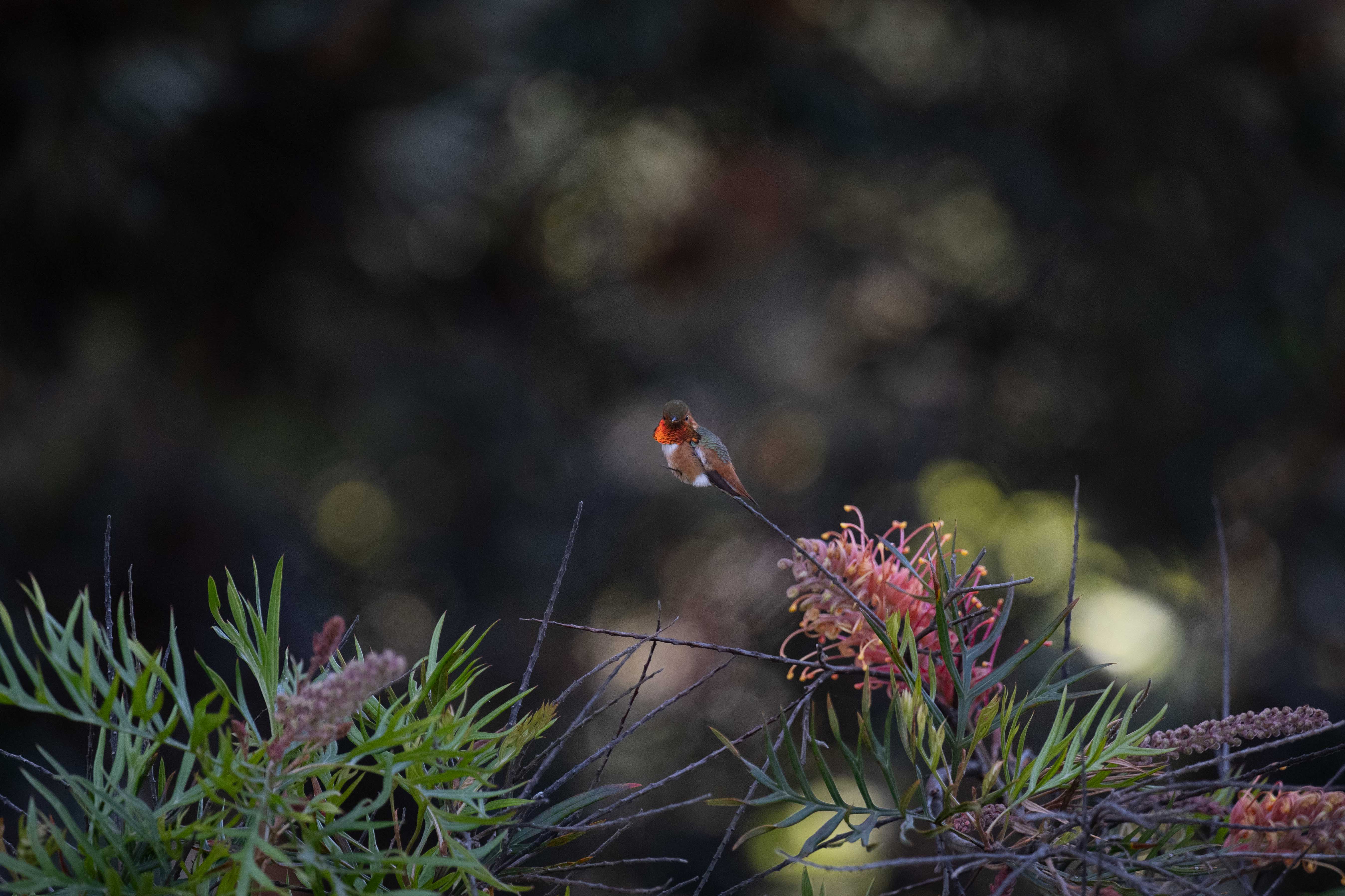 December 2025 - Bud Ralston