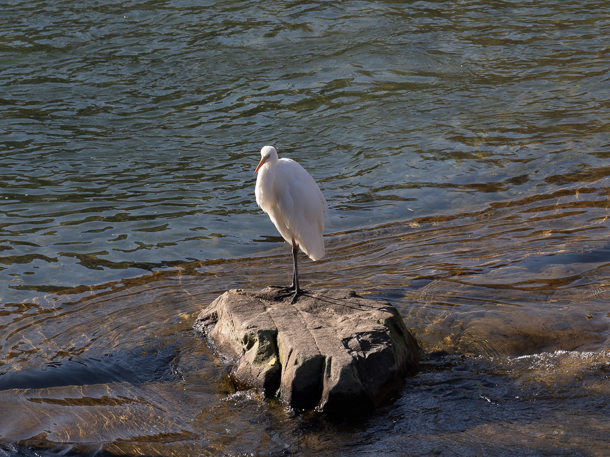 December 2025 - Scott Ainsworth