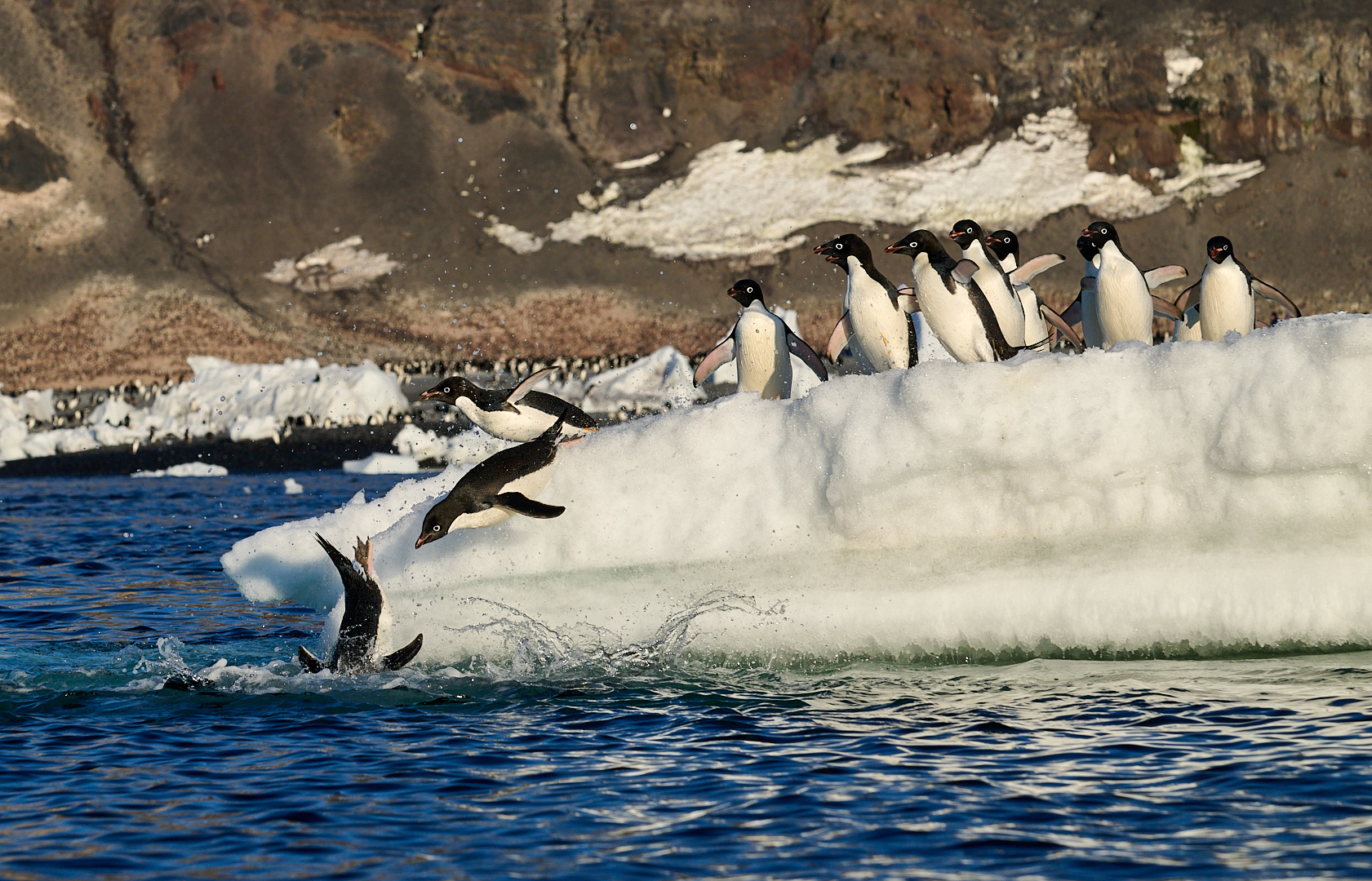 “Everybody In” by Cindy Marple