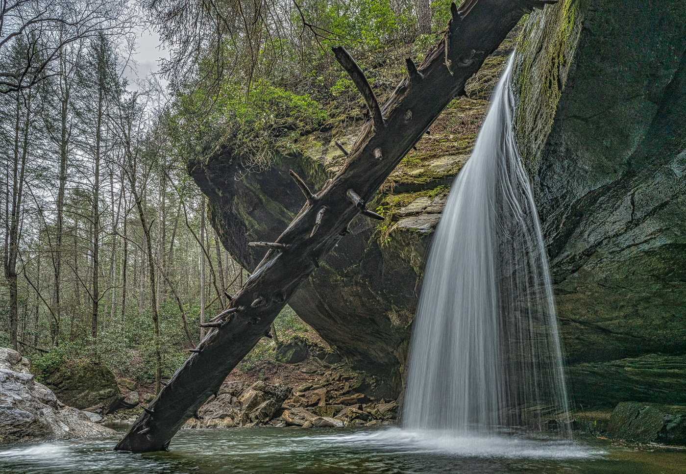 Dog Slaughter Falls by Michael Weatherford