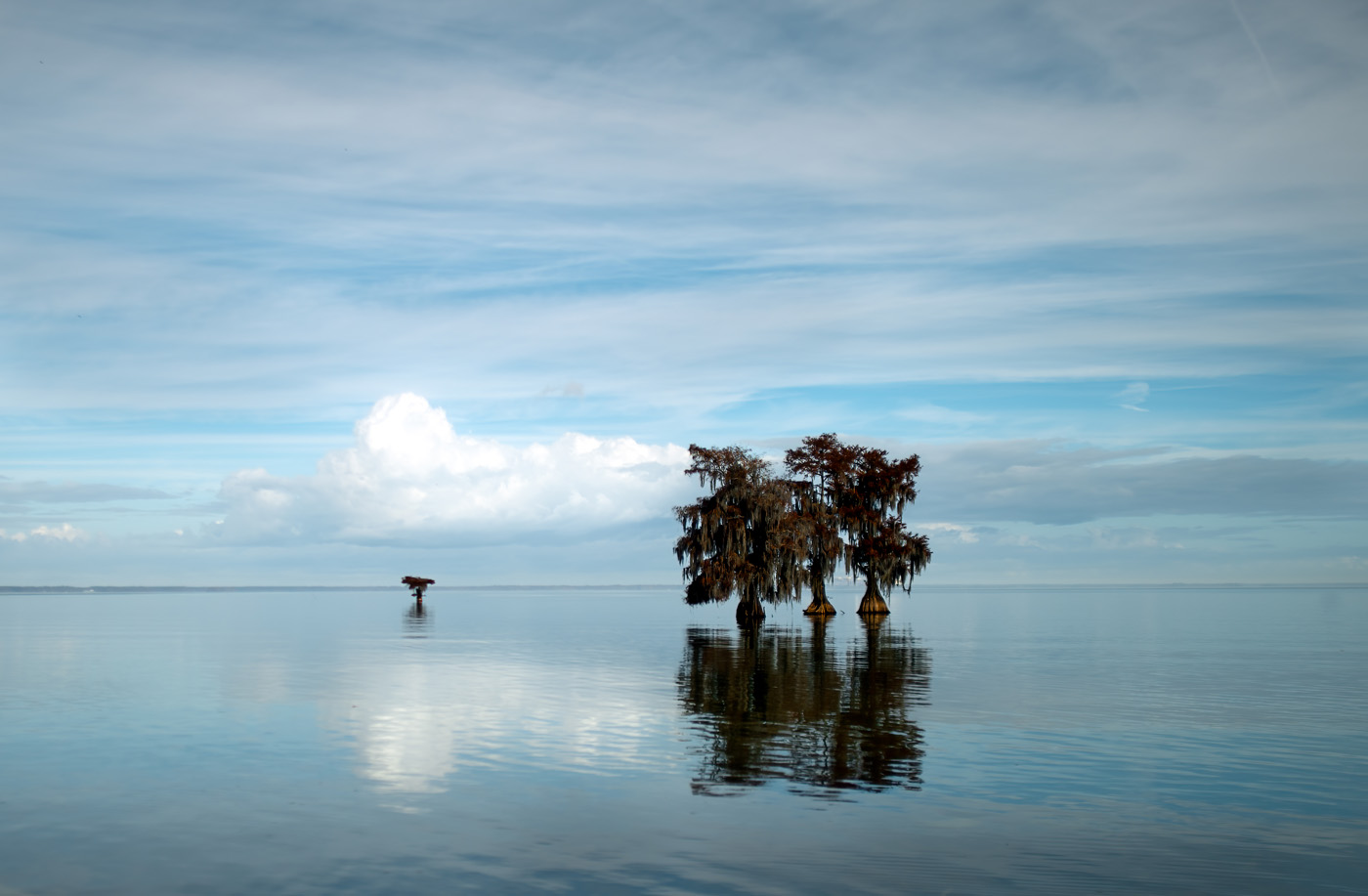 Lake Moultrie by Richard Matheny
