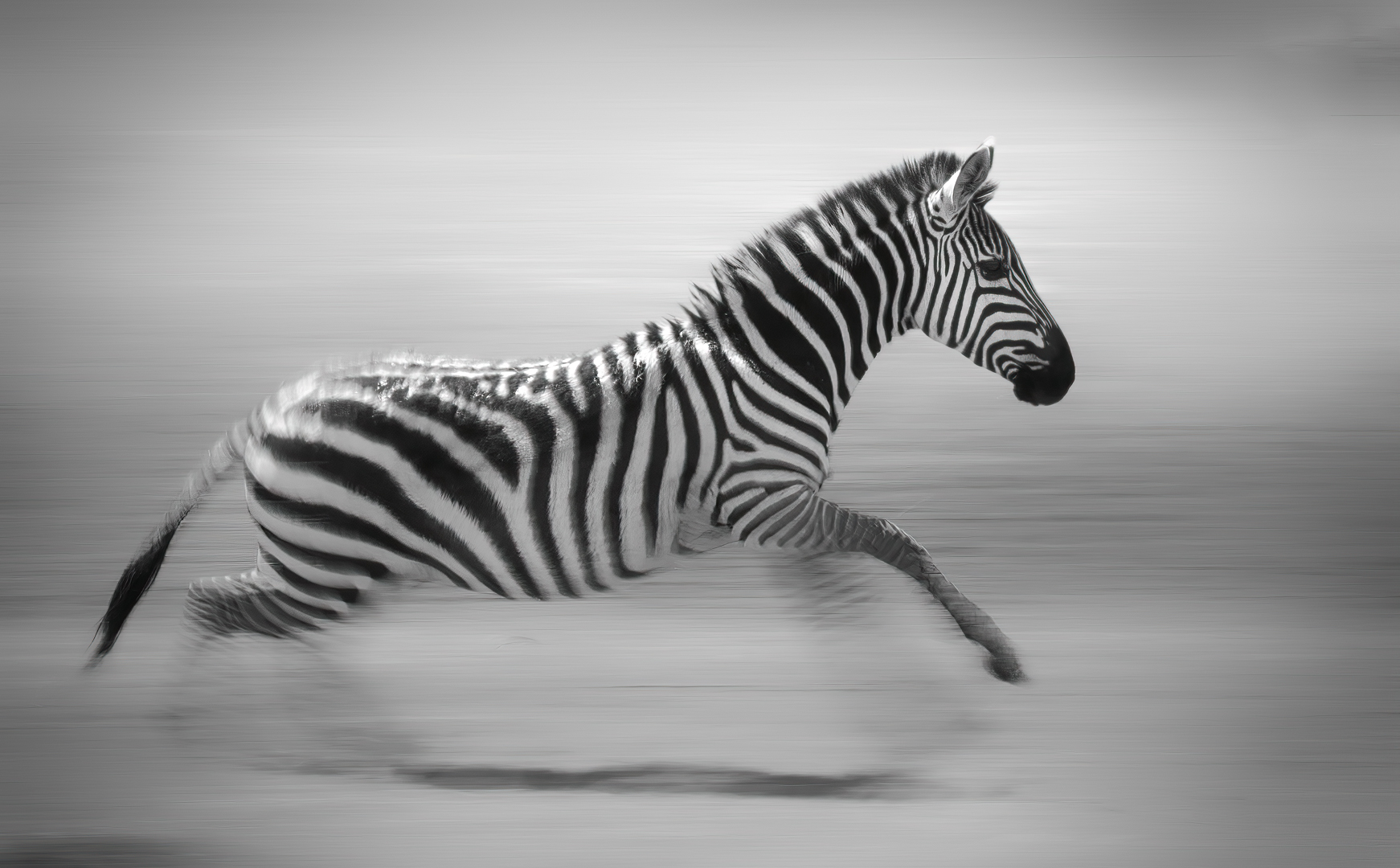 Motion on the Mara by Butch Mazzuca