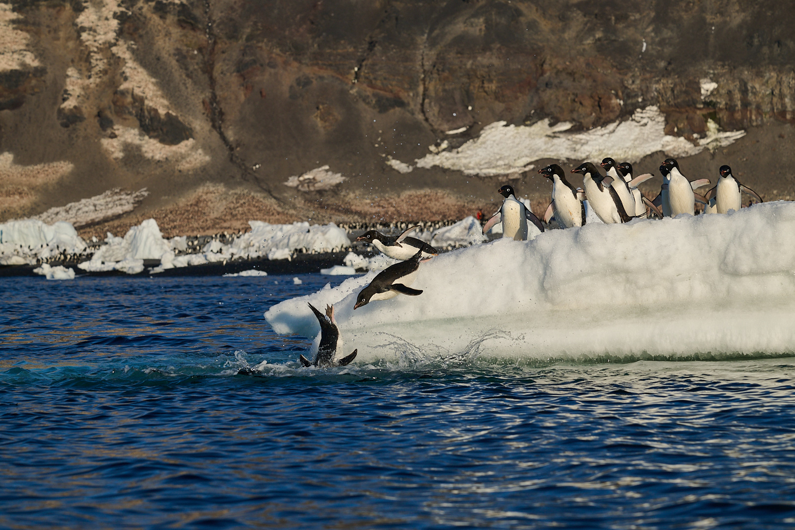 April 2026 - Cindy Marple