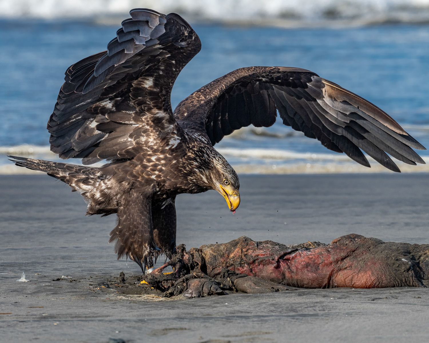 November 2025 - Bud Ralston