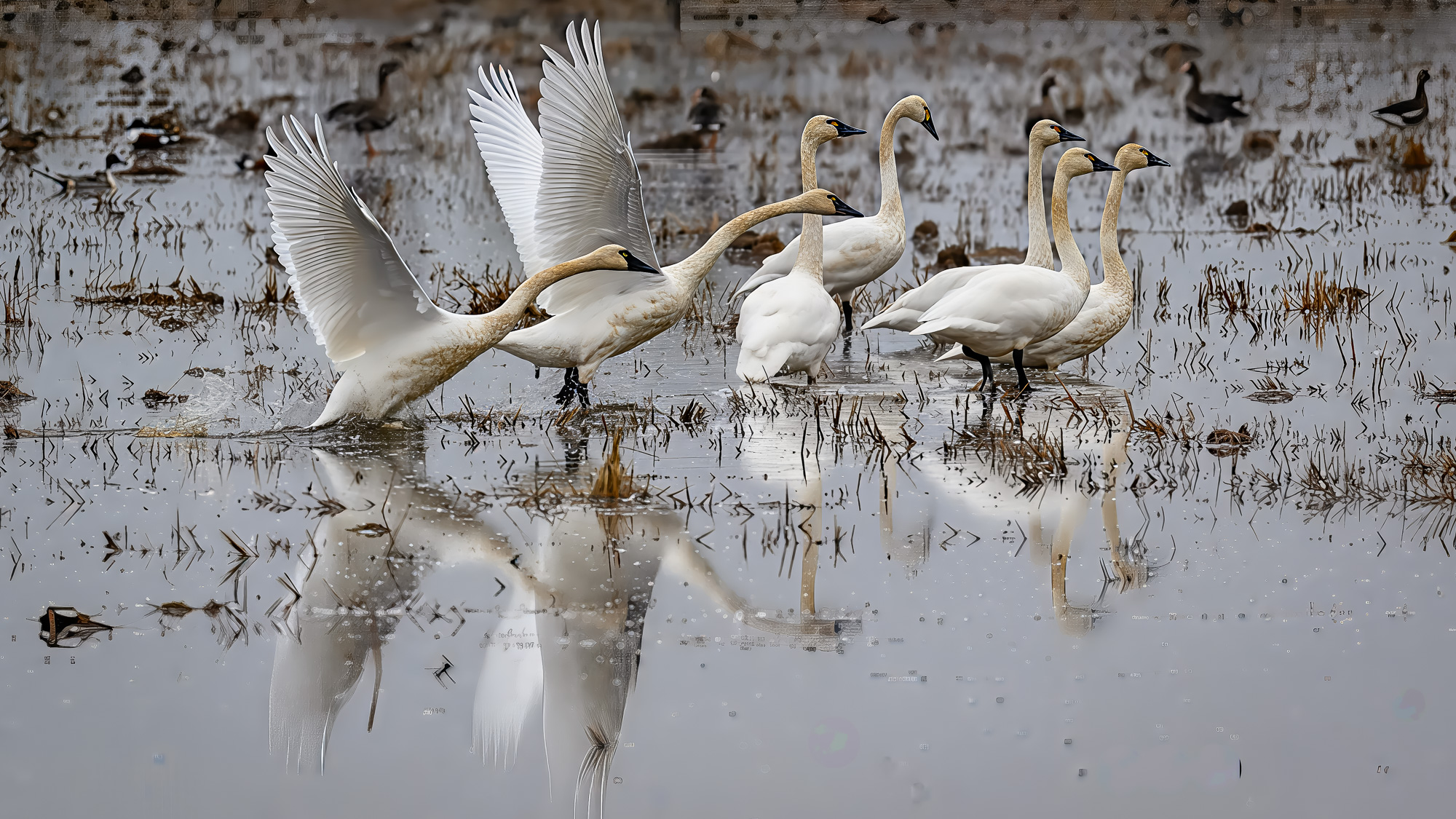 April 2026 - Bud Ralston