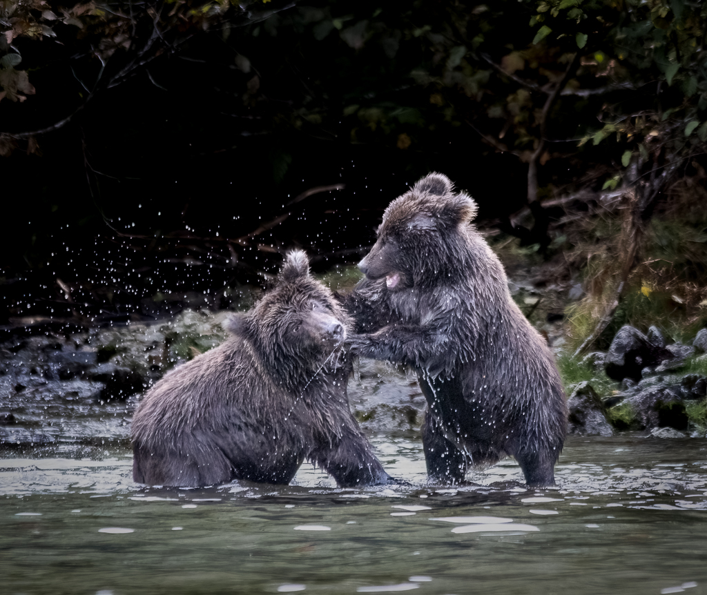 Two Kids Tussling by David Kepley