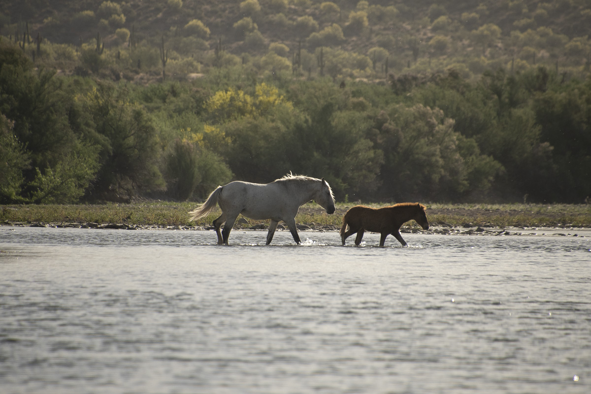 April 2026 - Ann Von Pentz