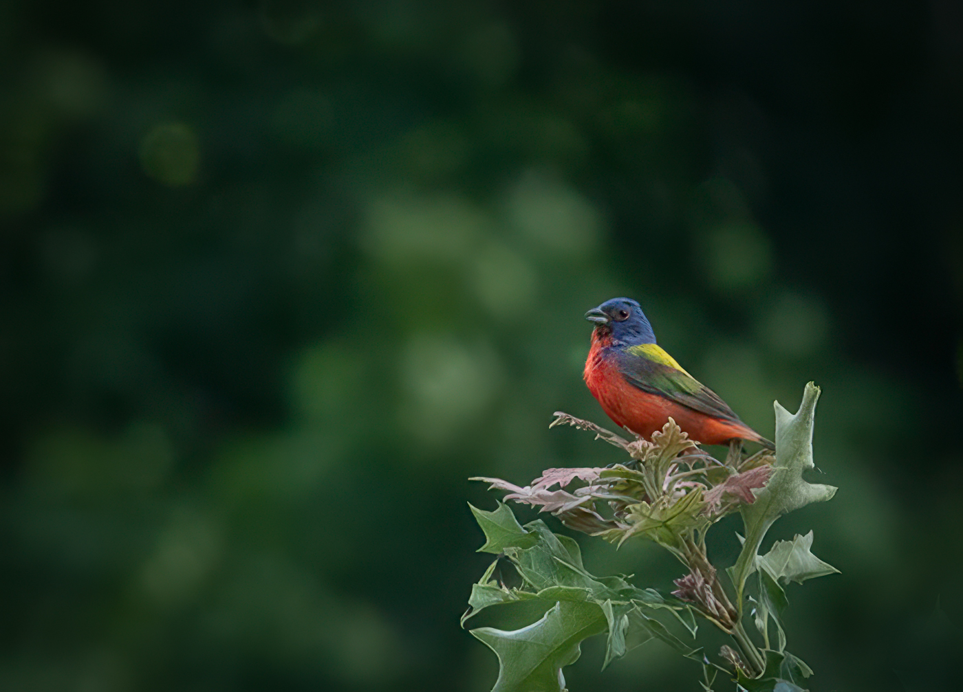 Richard Matheny Group 67 PSA Digital Dialogue