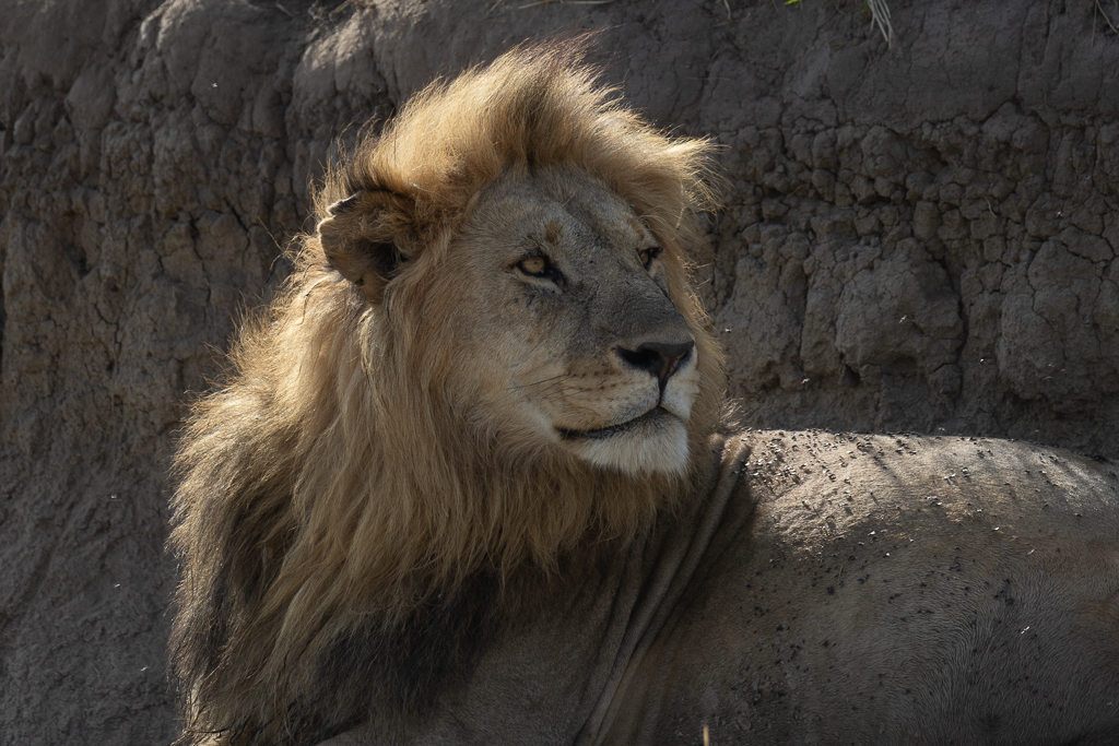 November 2025 - David Kepley