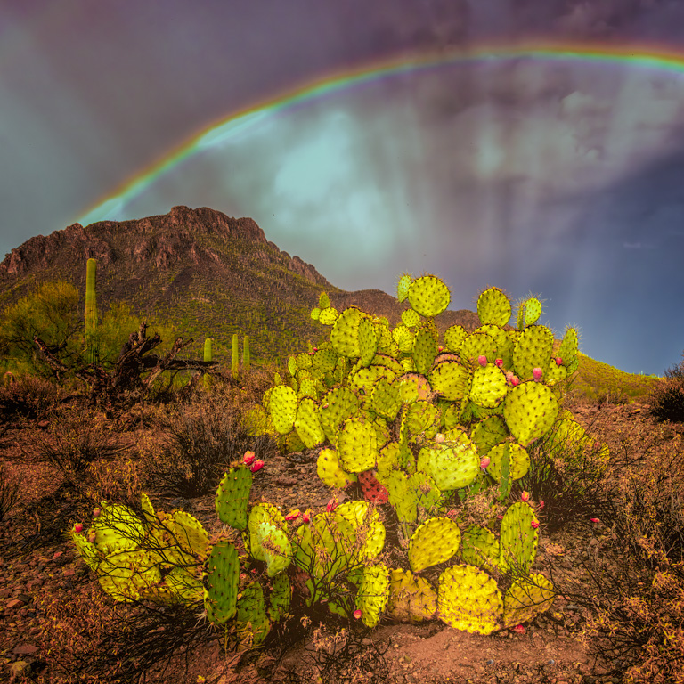 Rainbow Wheel by Butch Mazzuca