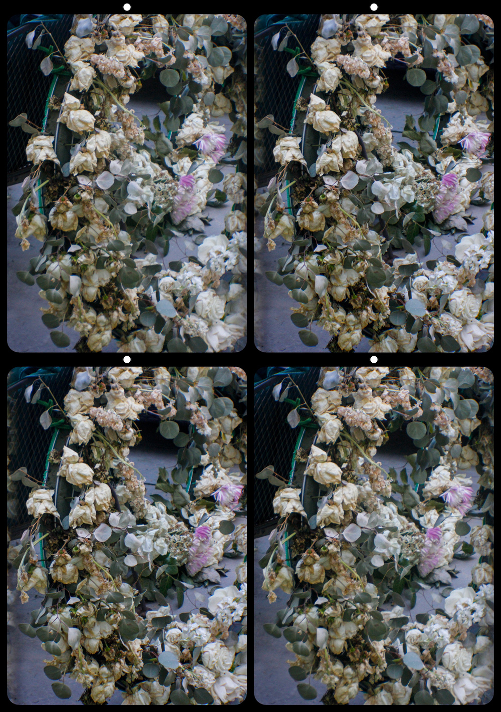 Dylanz Memorial Wreath by Andrew Parke