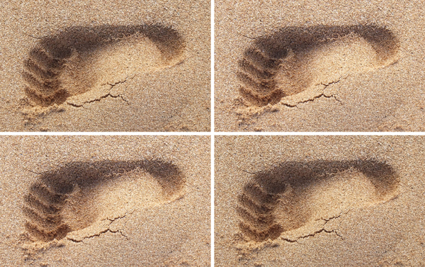 Footsteps in the sand by Barry Rothstein