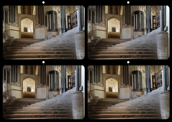 The Chapter house steps by Brian Davis, MPSA