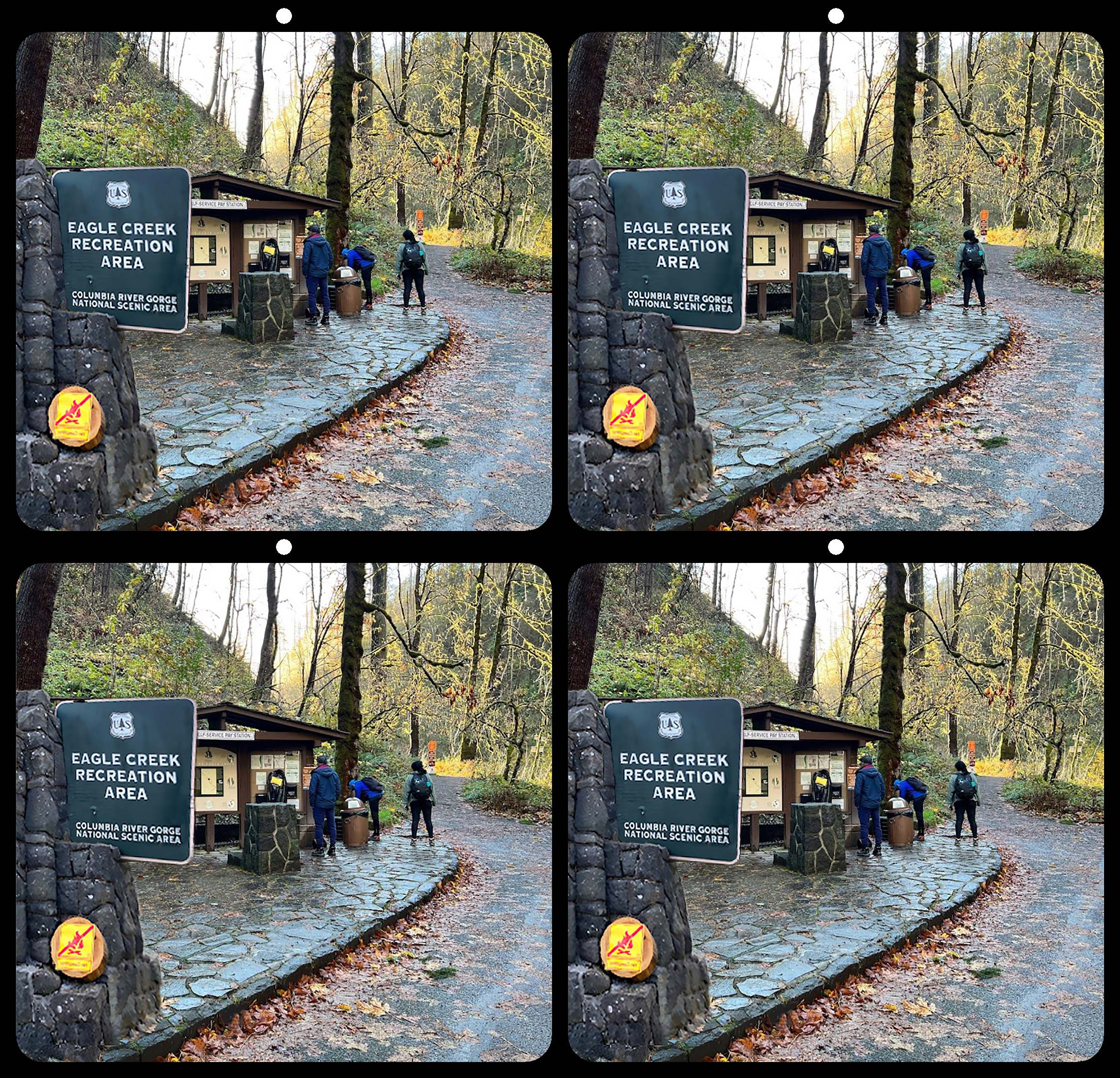 Fake Eagle Creek Trail Head by David Allen