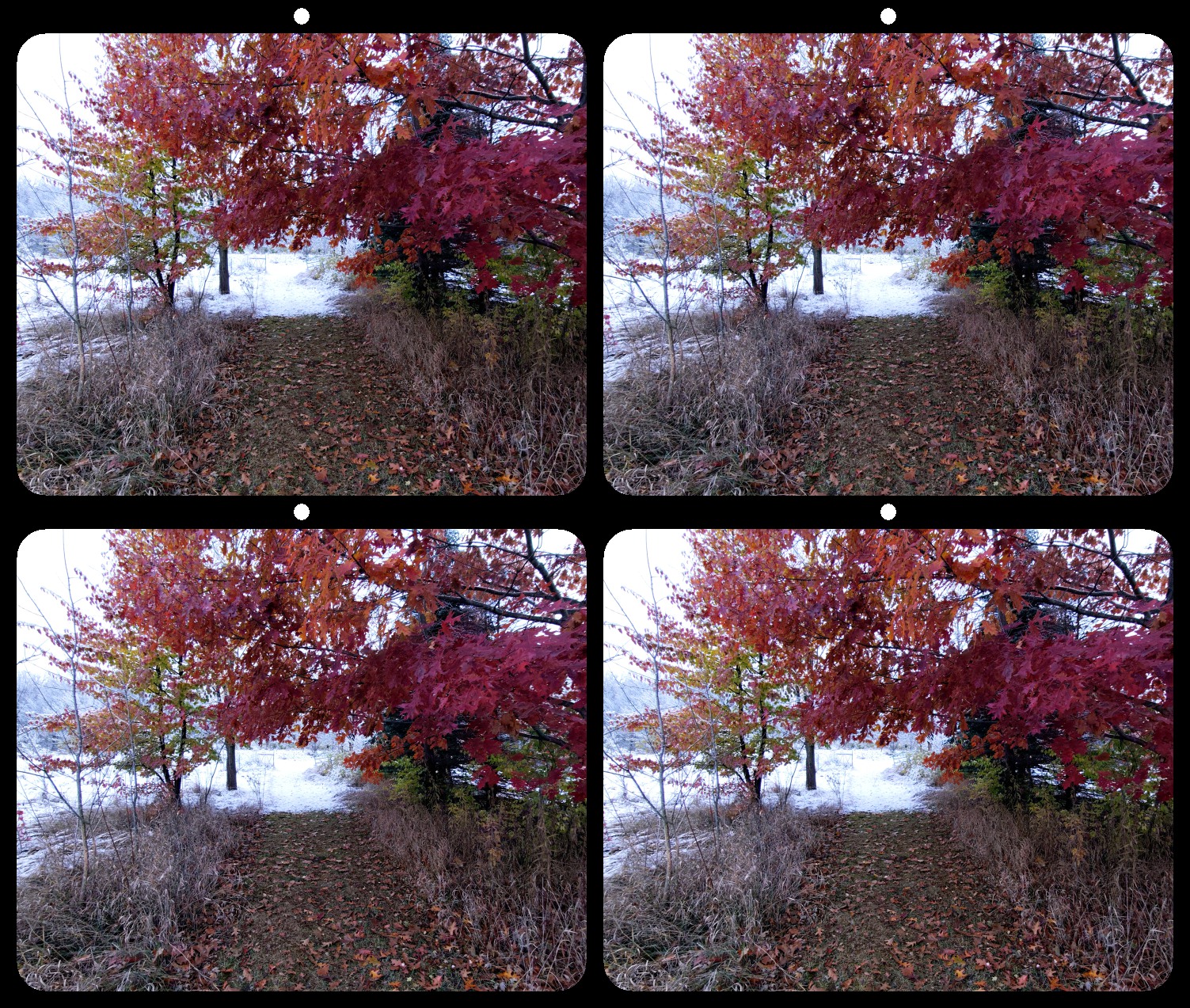 Transition by Ken Kovar