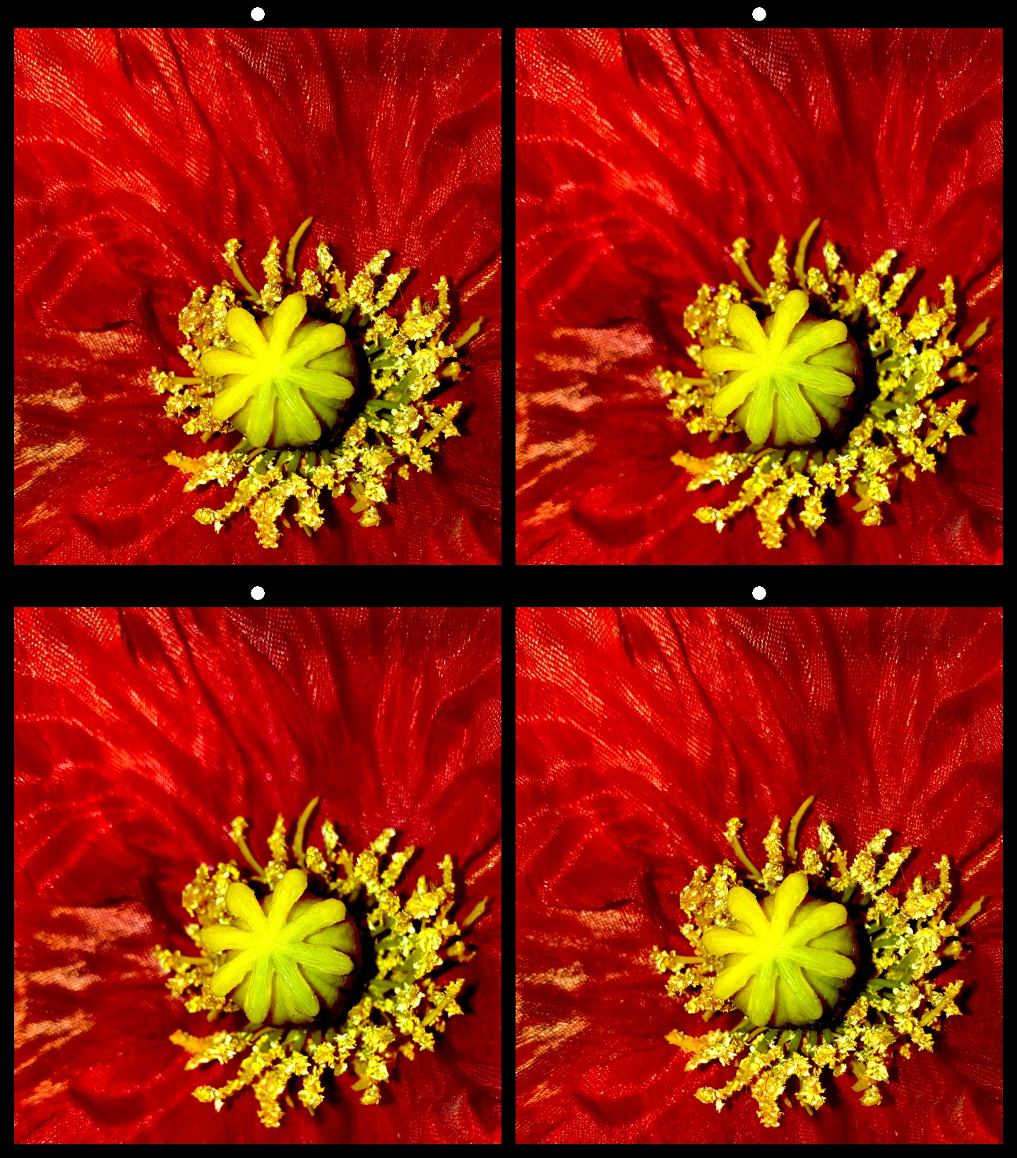 Artificial Poppy Flower by Dr V G Mohanan Nair, APSA, QPSA