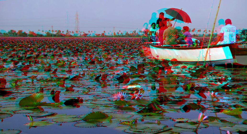 November 2025 - Dr V G Mohanan Nair, APSA, QPSA