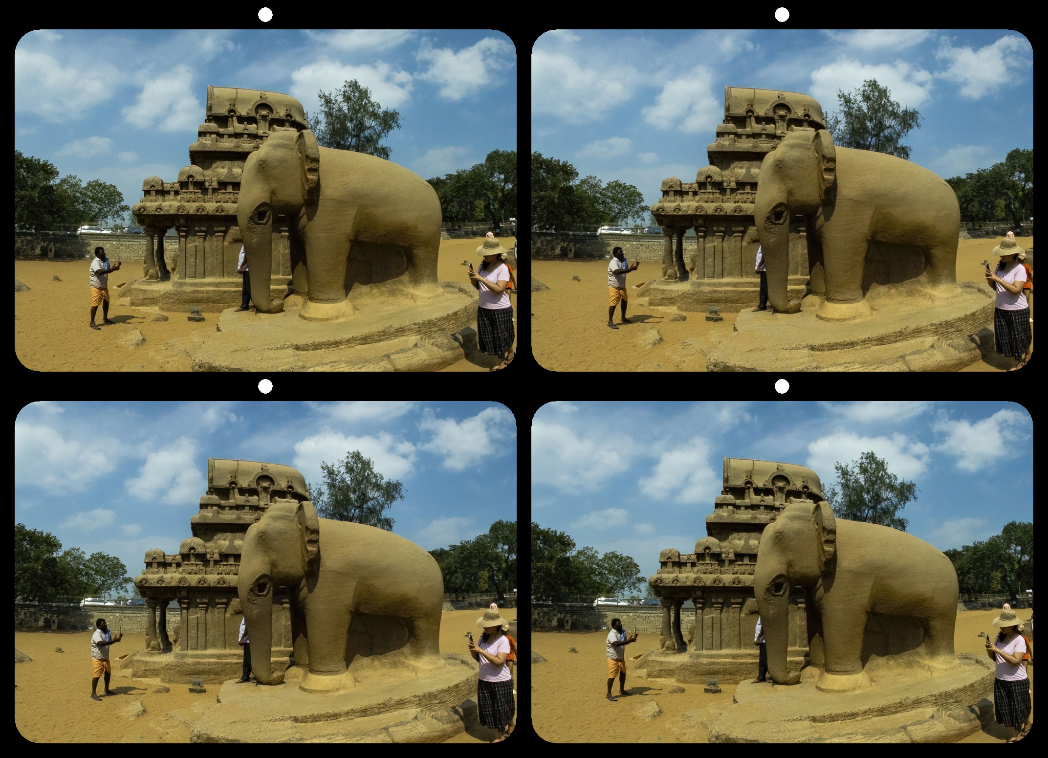 Elephant and Photographers by Dr V G Mohanan Nair