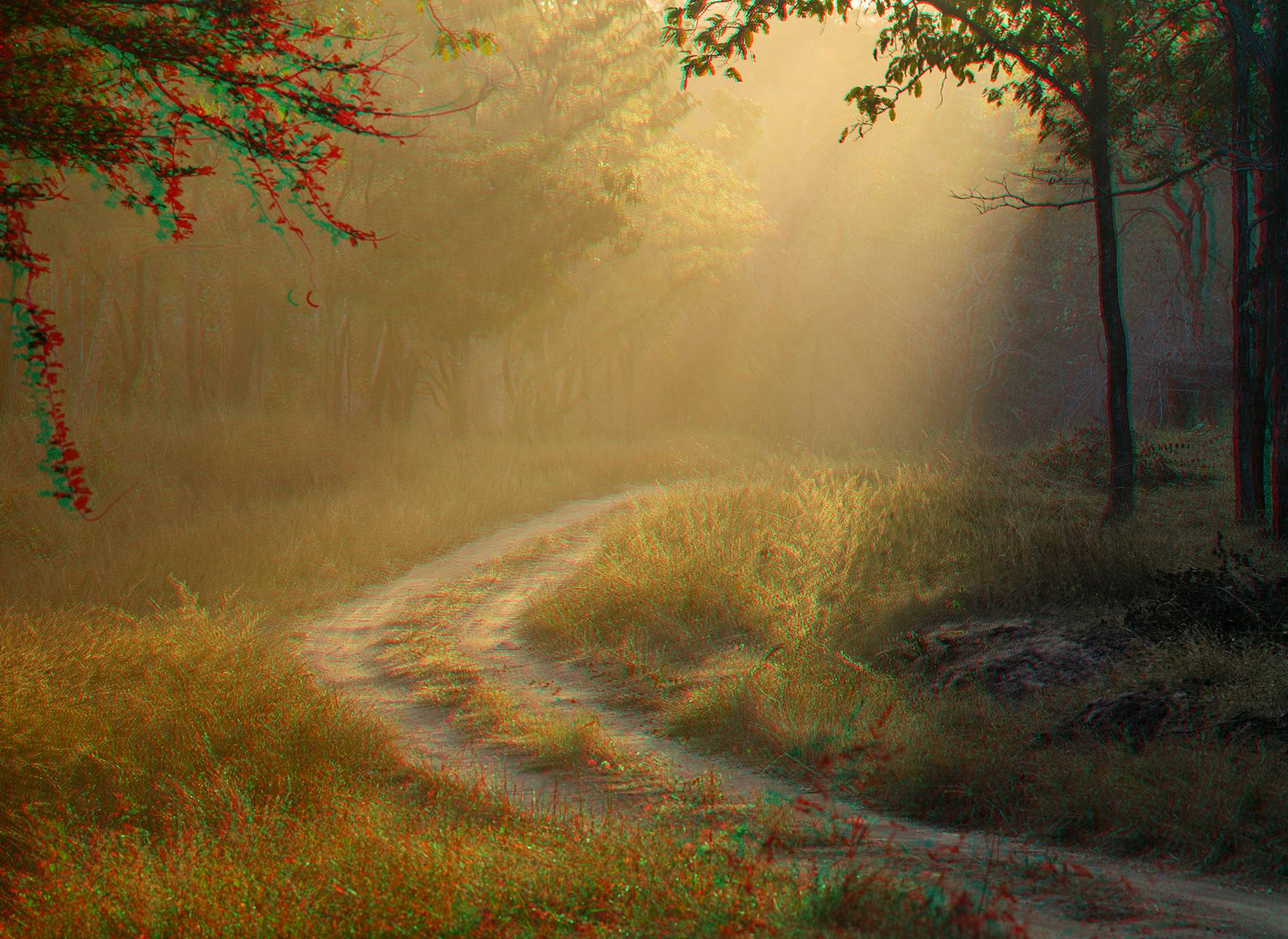 November 2025 - Satish Hanumantharao