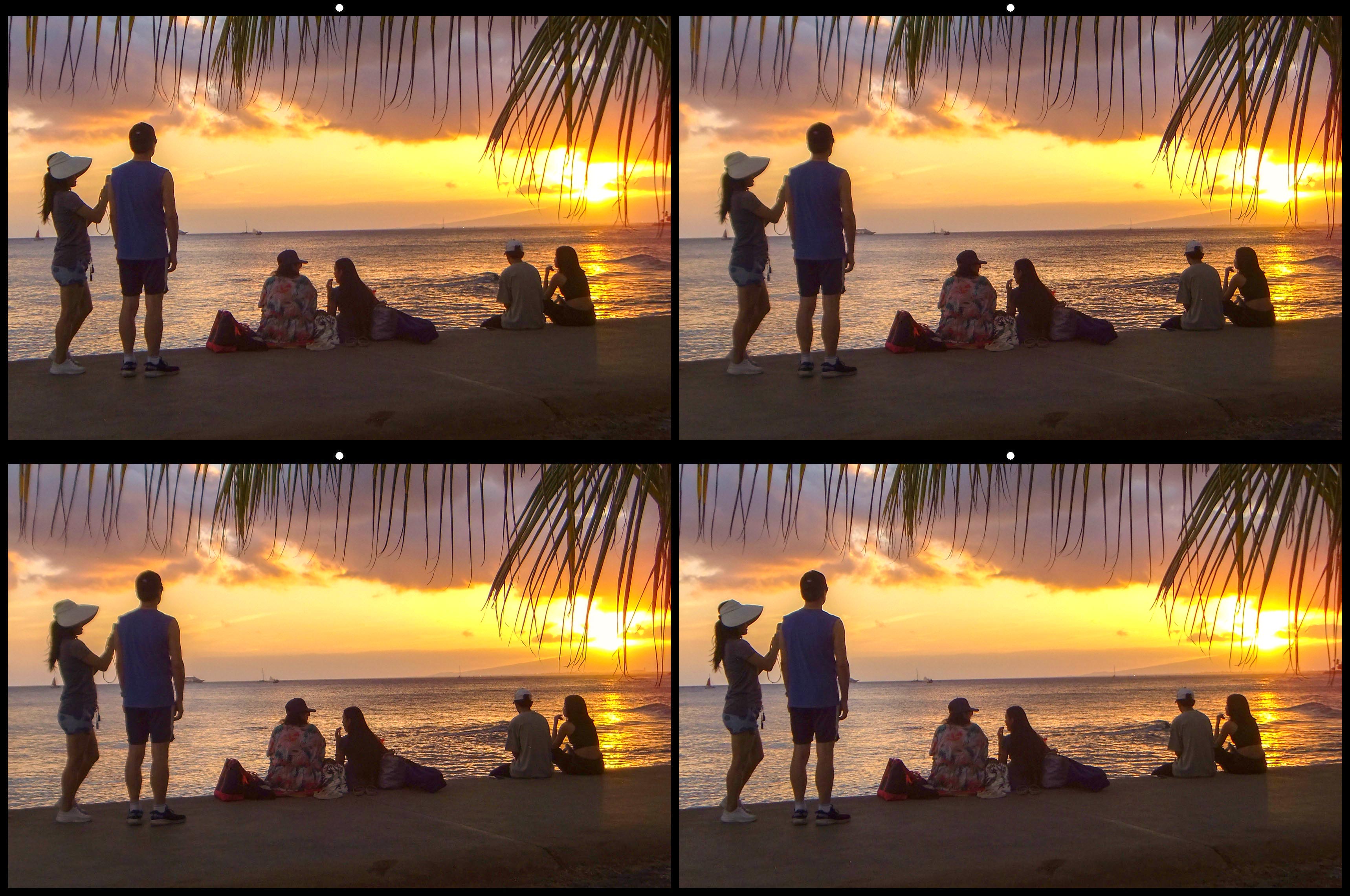 Watching the Setting Sun