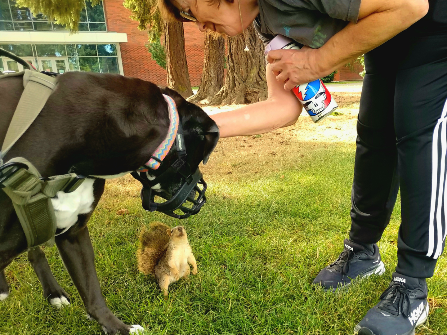 November 2025 - Steve Wessing