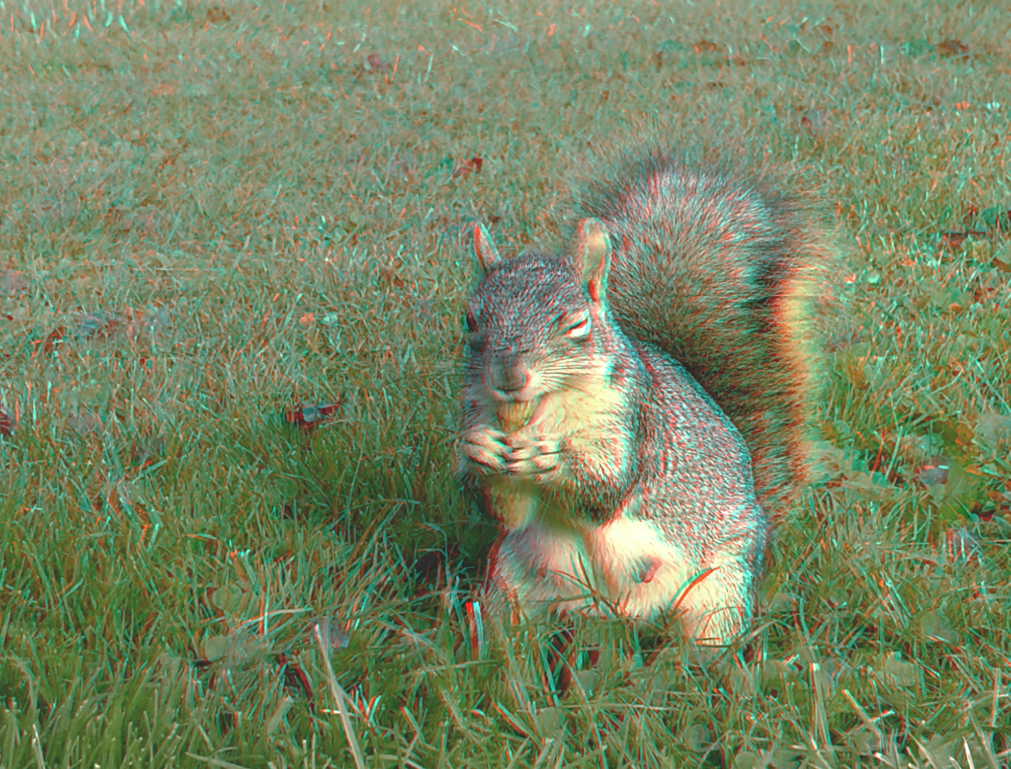 November 2025 - Steve Wessing