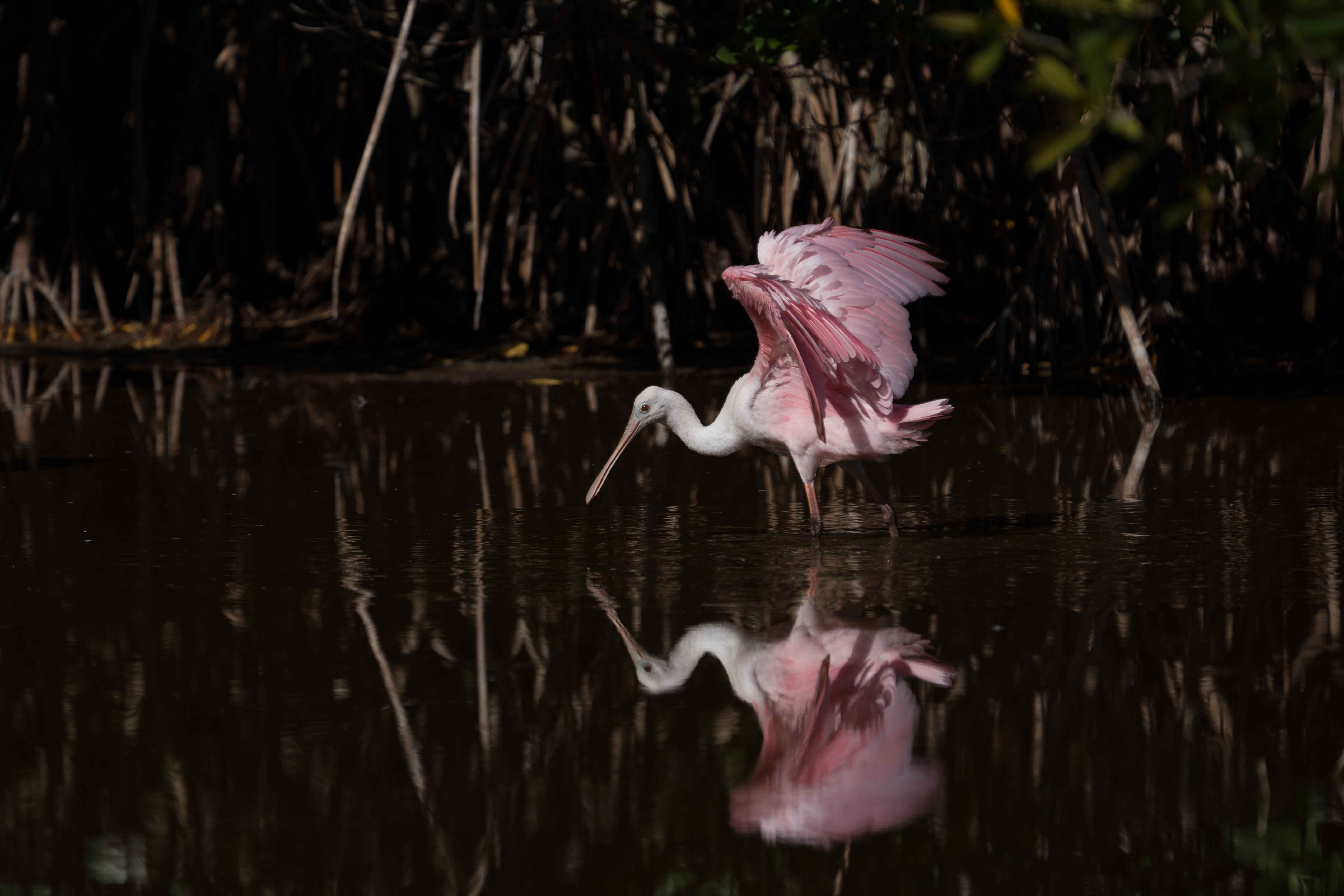 April 2026 - Cindy Smith