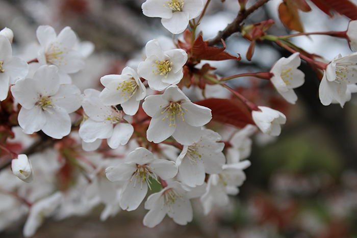 April 2026 - Jacob Wat