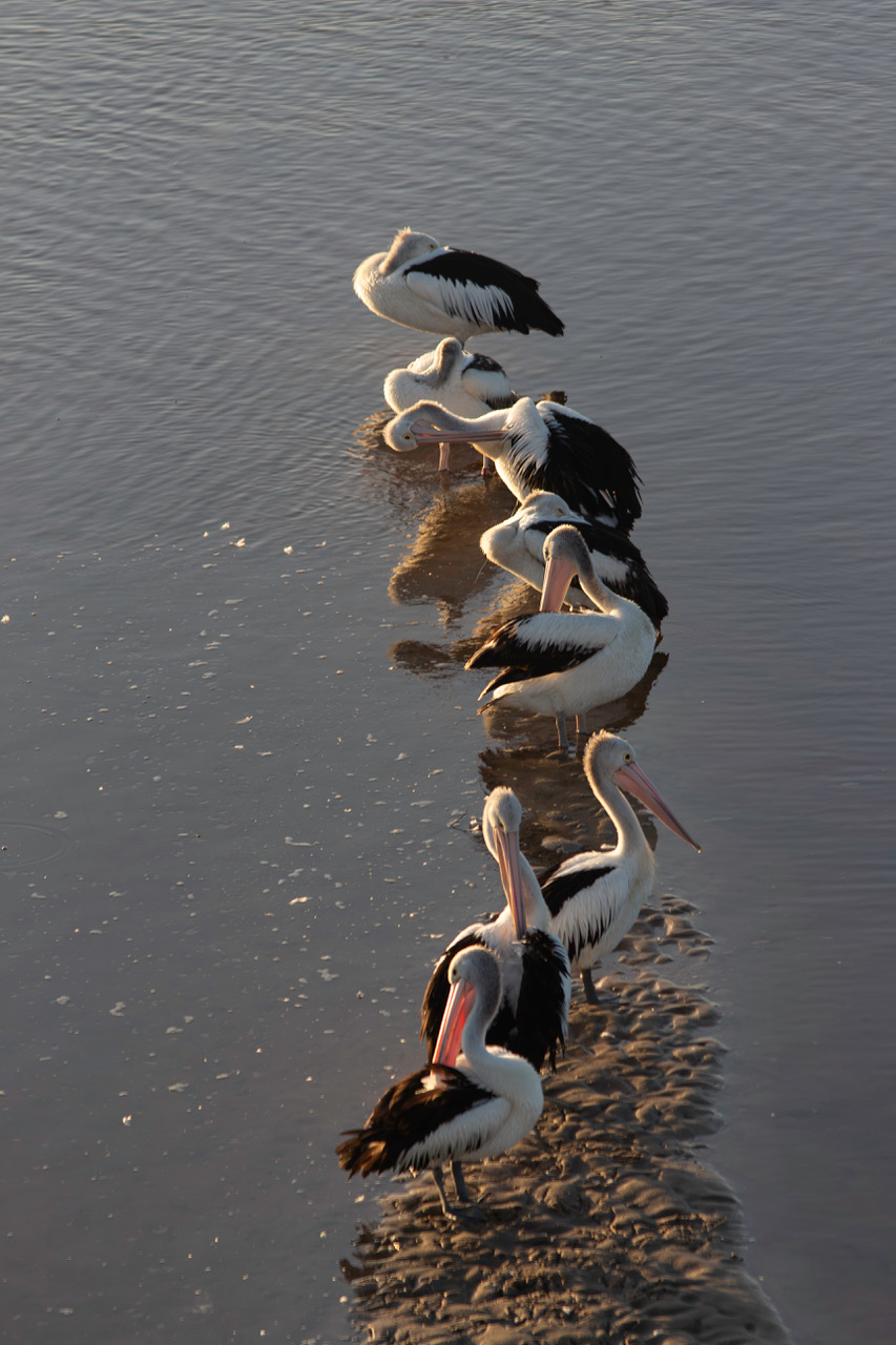 Untitled by Diane Perry