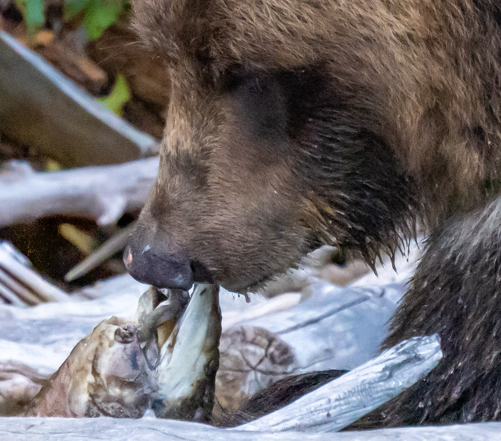 "mmm...Good" by Cindy Smith