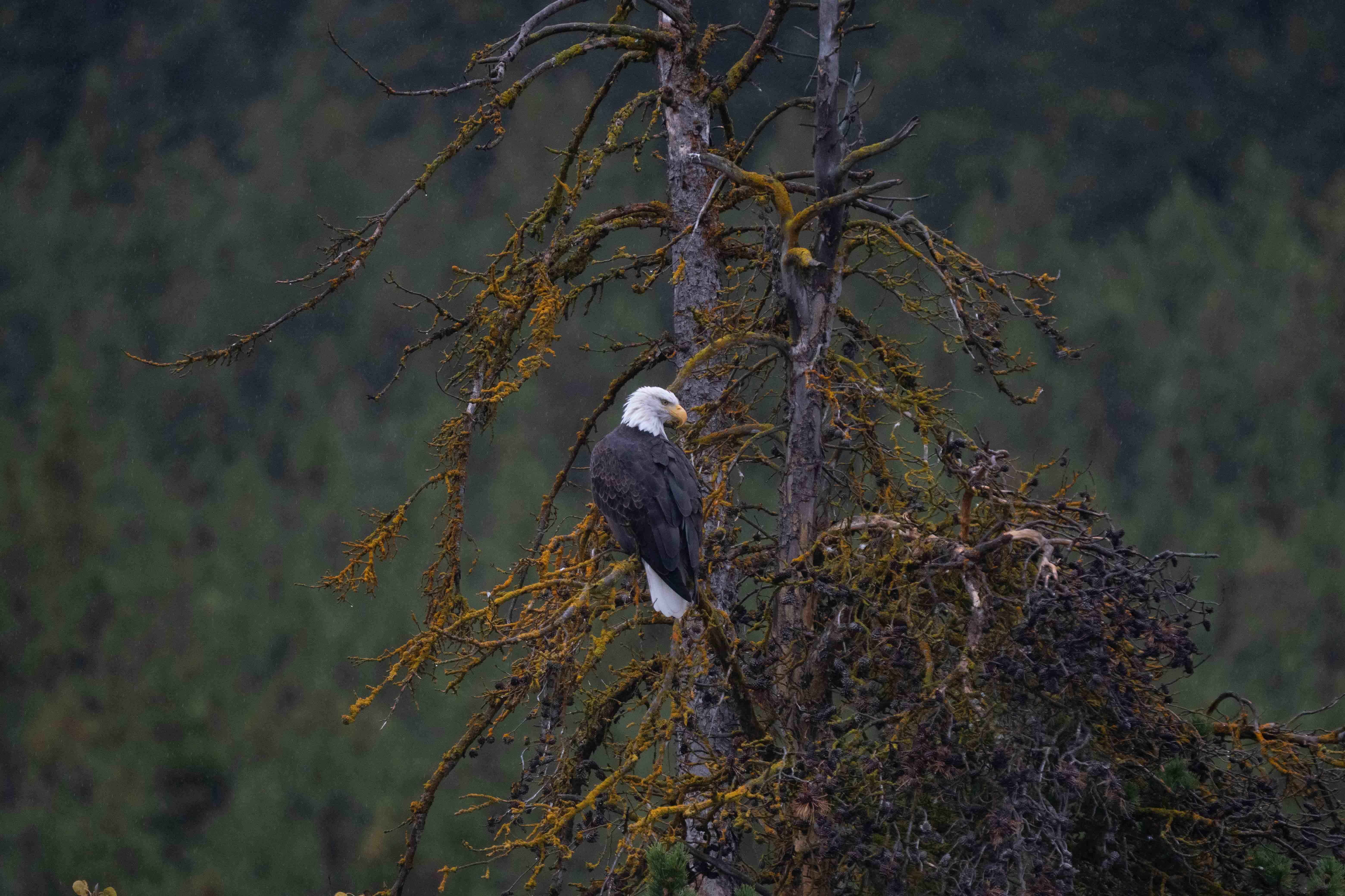 November 2025 - Cindy Smith