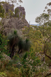 Alum Mountain by Diane Perry