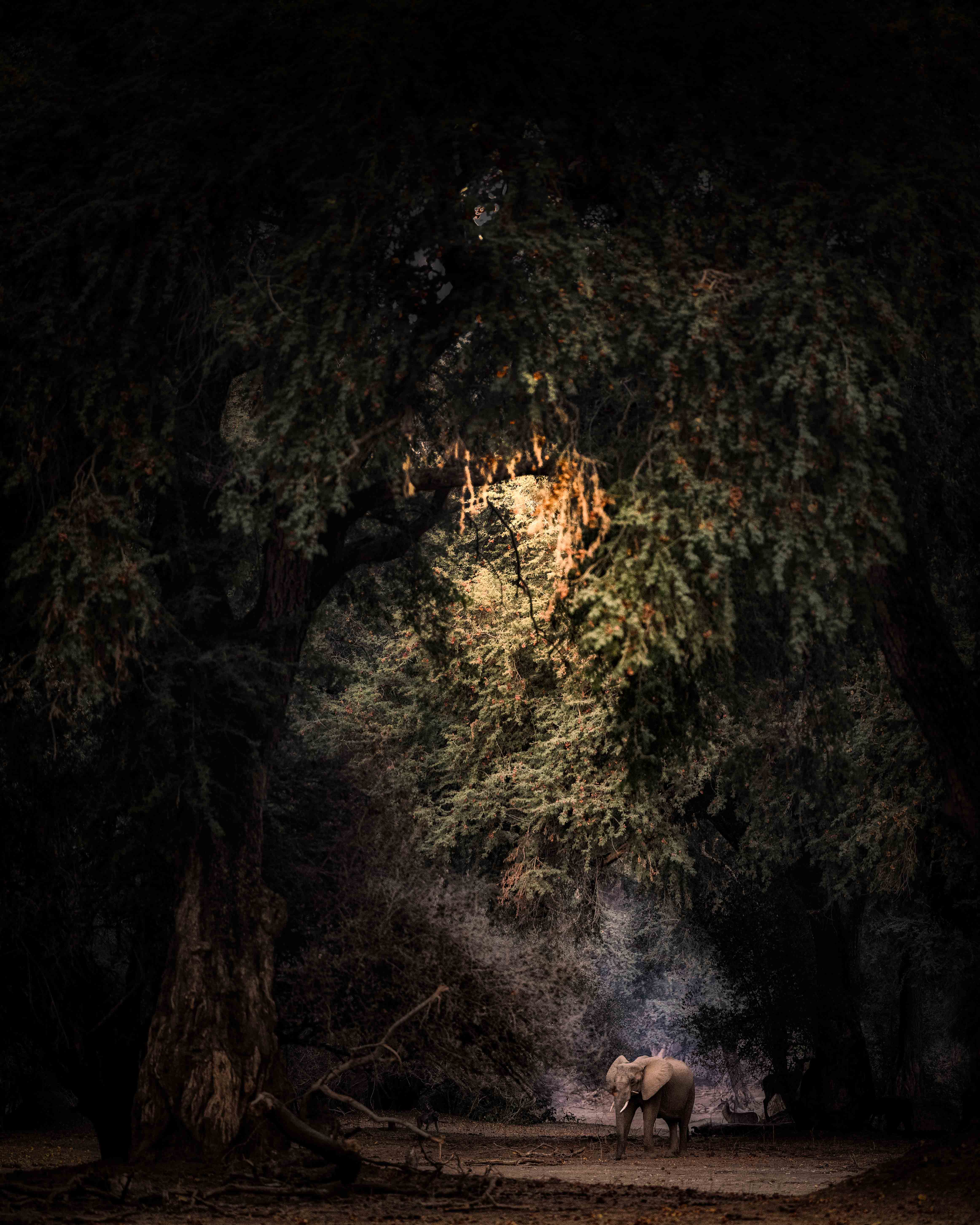 Mana Pools by Jaswant Madhavan