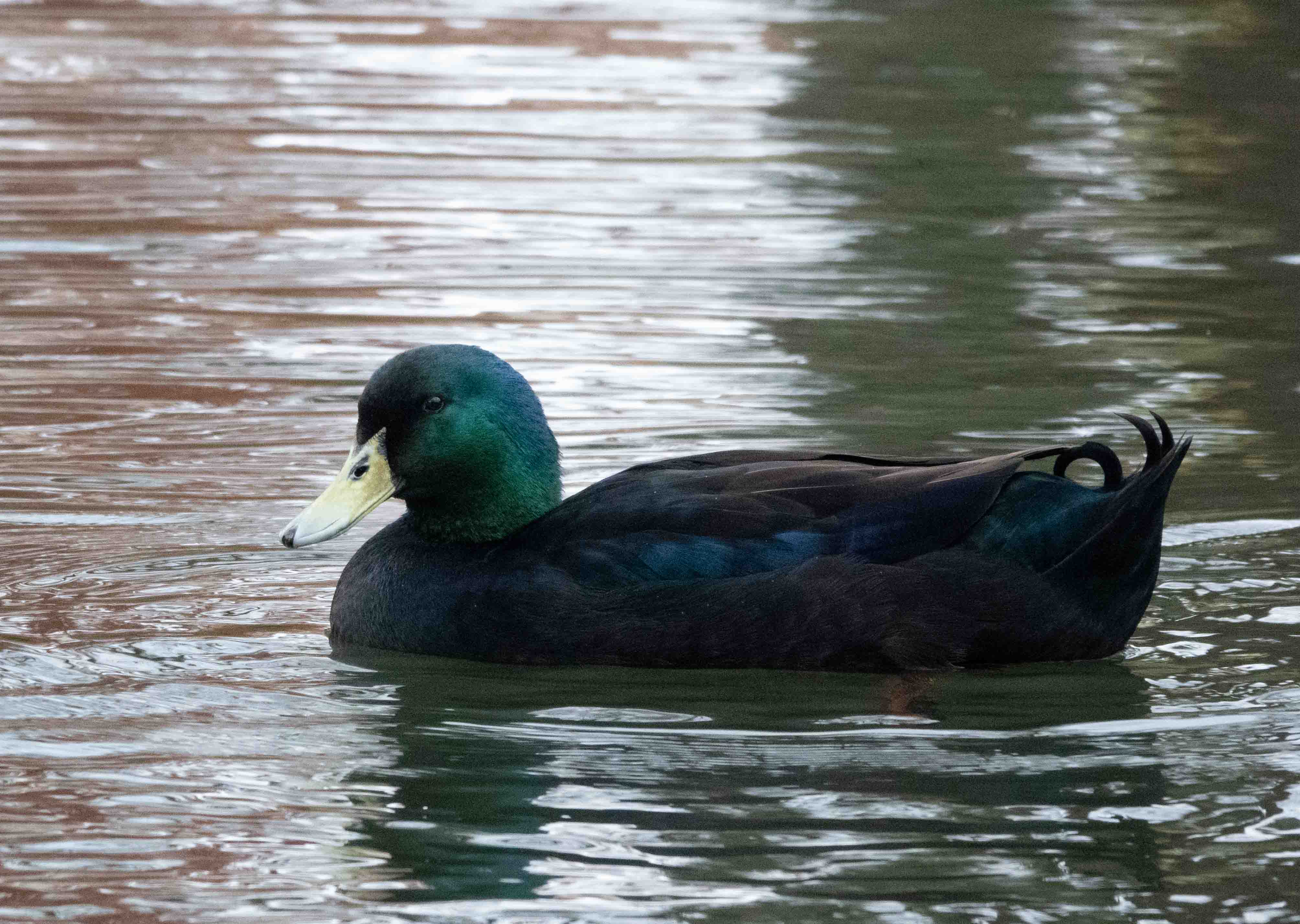 December 2025 - Cindy Smith