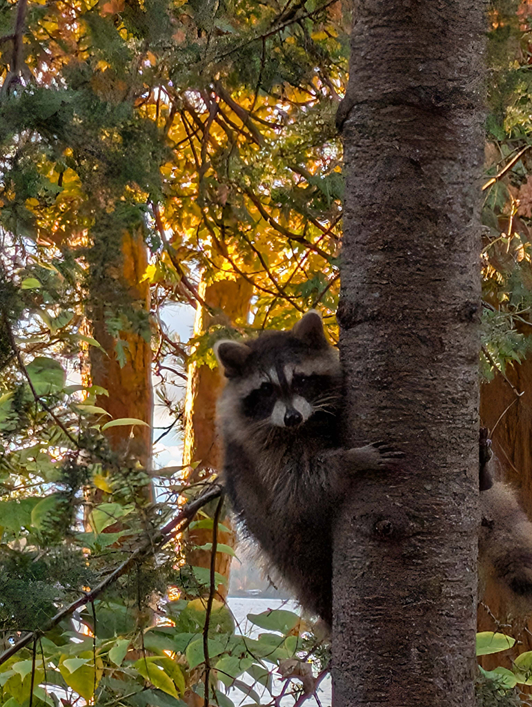 November 2025 - Dean Ginther