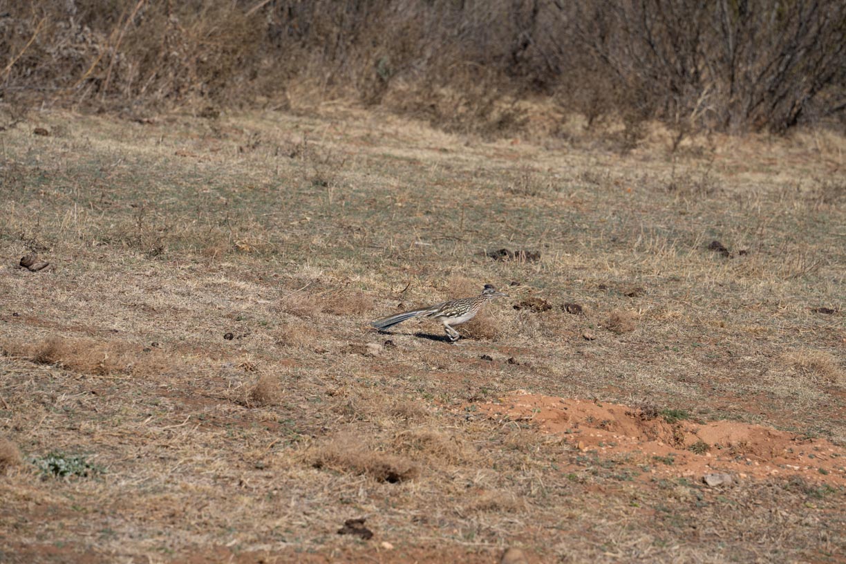 April 2026 - Dean Ginther