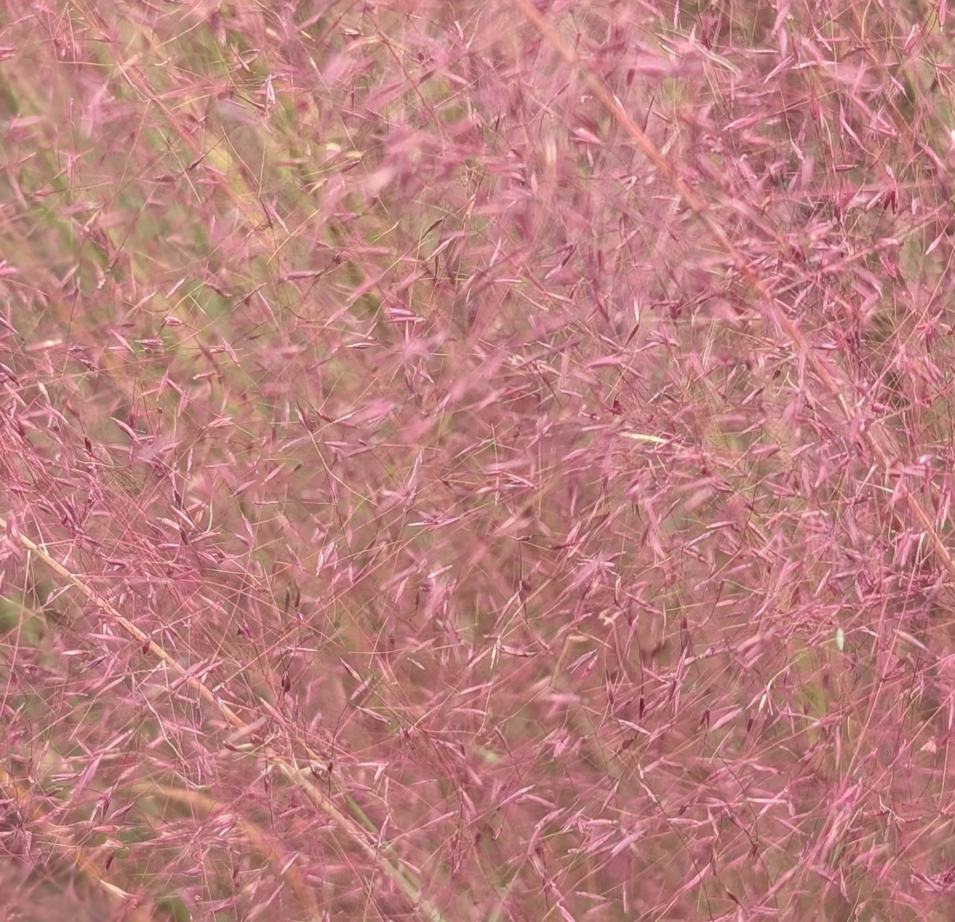 December 2025 - Dean Ginther