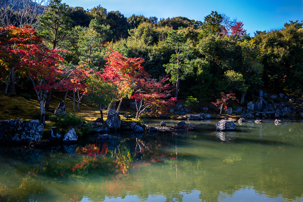 Sogencie Teien Garden, Tokyo Japan by Frans Gunterus