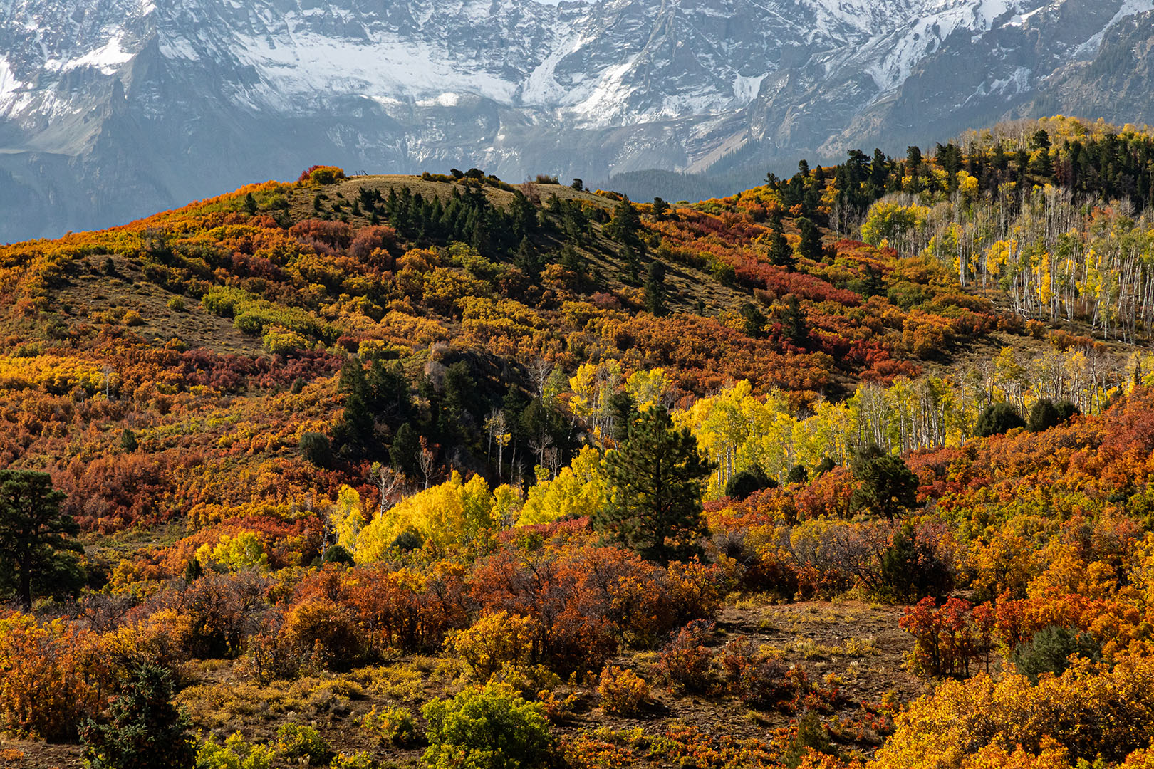 Autumn Sneffels Range - Colorado by Jerry Baumann