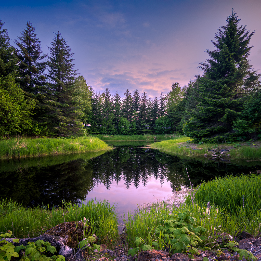 Sitka – Alaska by Frans Gunterus