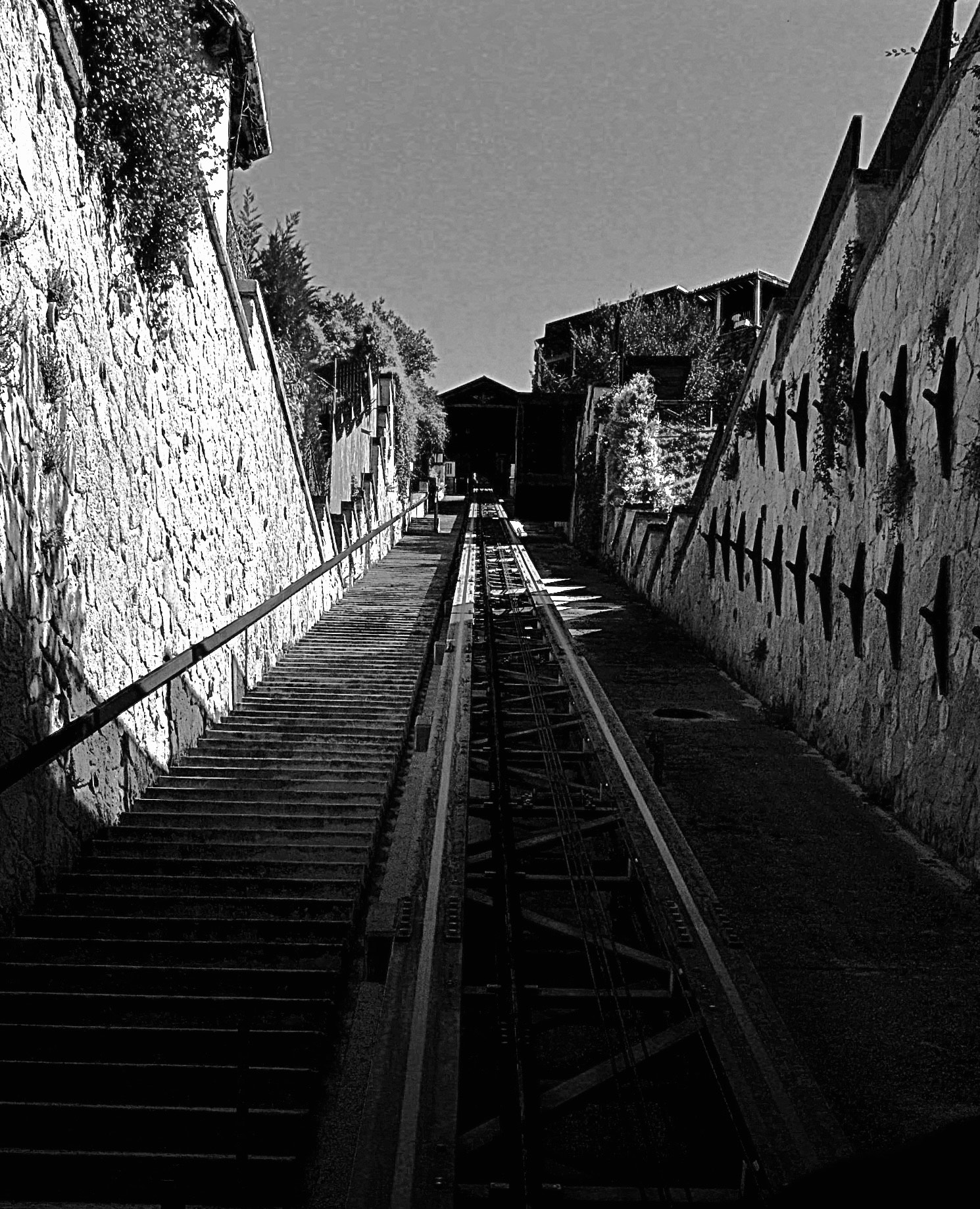 Ascending Florence - Italy by Scott Inama