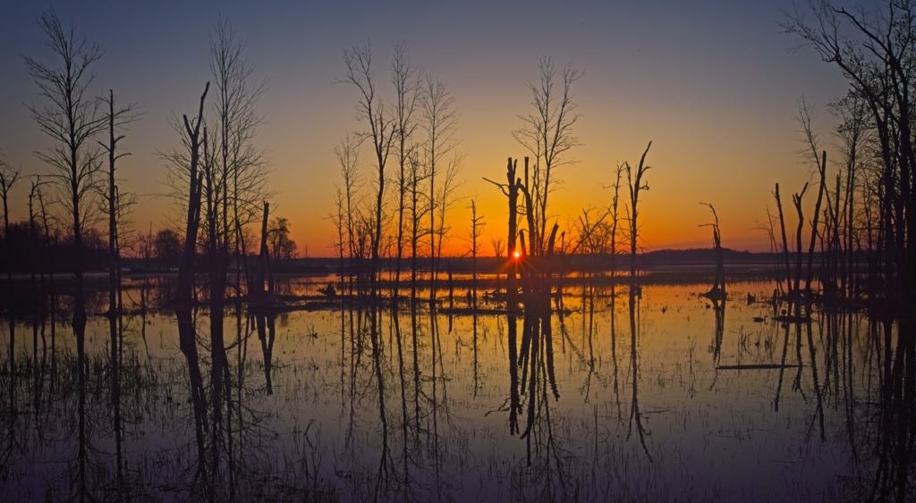 First morning sun peek over a marsh at the Iroquois National Wildlife Refuge by Pierre Williot