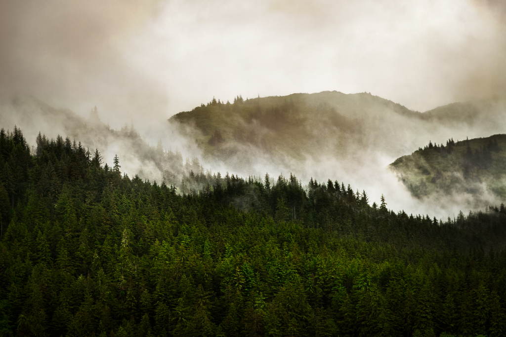 Alaska by Frans Gunterus