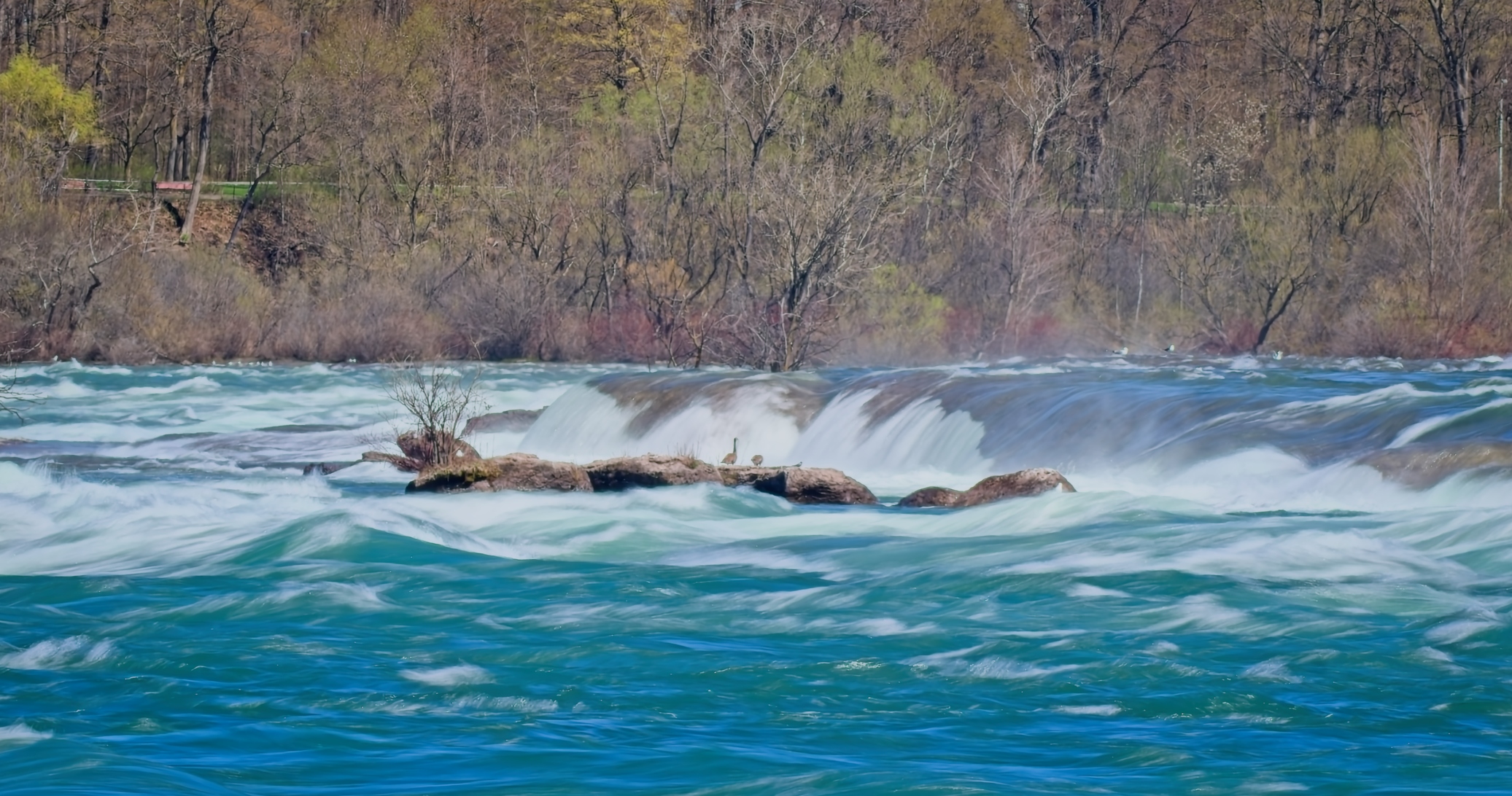Upper Niagara River by Pierre Williot