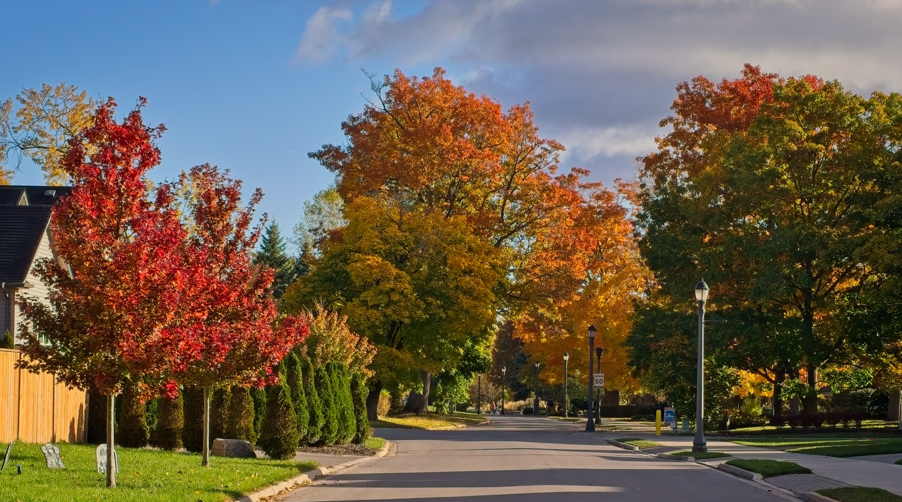 My neighborhood at the end of October 2024 by Pierre Williot