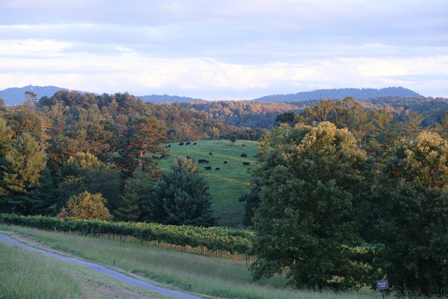 April 2026 - Bradford Johnson